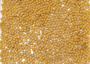 Бисер Япония круглый 11/0 10г 1623F горчичный матовый, золотое сияние, непрозрачный
